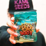 9001 x3 – Kame Seeds – Semillas Fotoperiódicas Fem - Imagen 2
