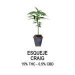 Esqueje craig - destroyer x skunk#1 (solo retiro por el local)