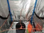 Red scrog naranja 150x150 - Imagen 2