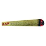 Long Board Cone cono Skate Raw