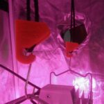 Poleas Grower Things 18kg - Imagen 5