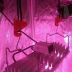 Poleas Grower Things 18kg - Imagen 6
