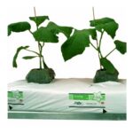 Bolsa de Sustrato Jiffy Growbag Slab 24 L