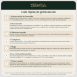 Guía rápida de germinación de semillas – El Alquimista Growshop
