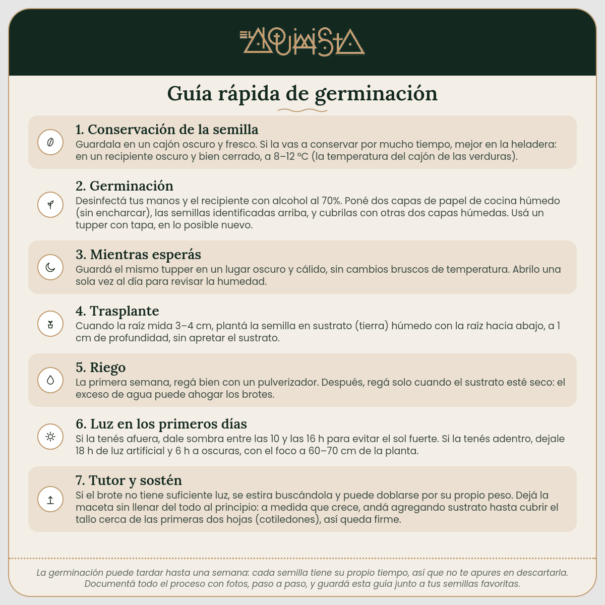 Guía rápida de germinación de semillas – El Alquimista Growshop