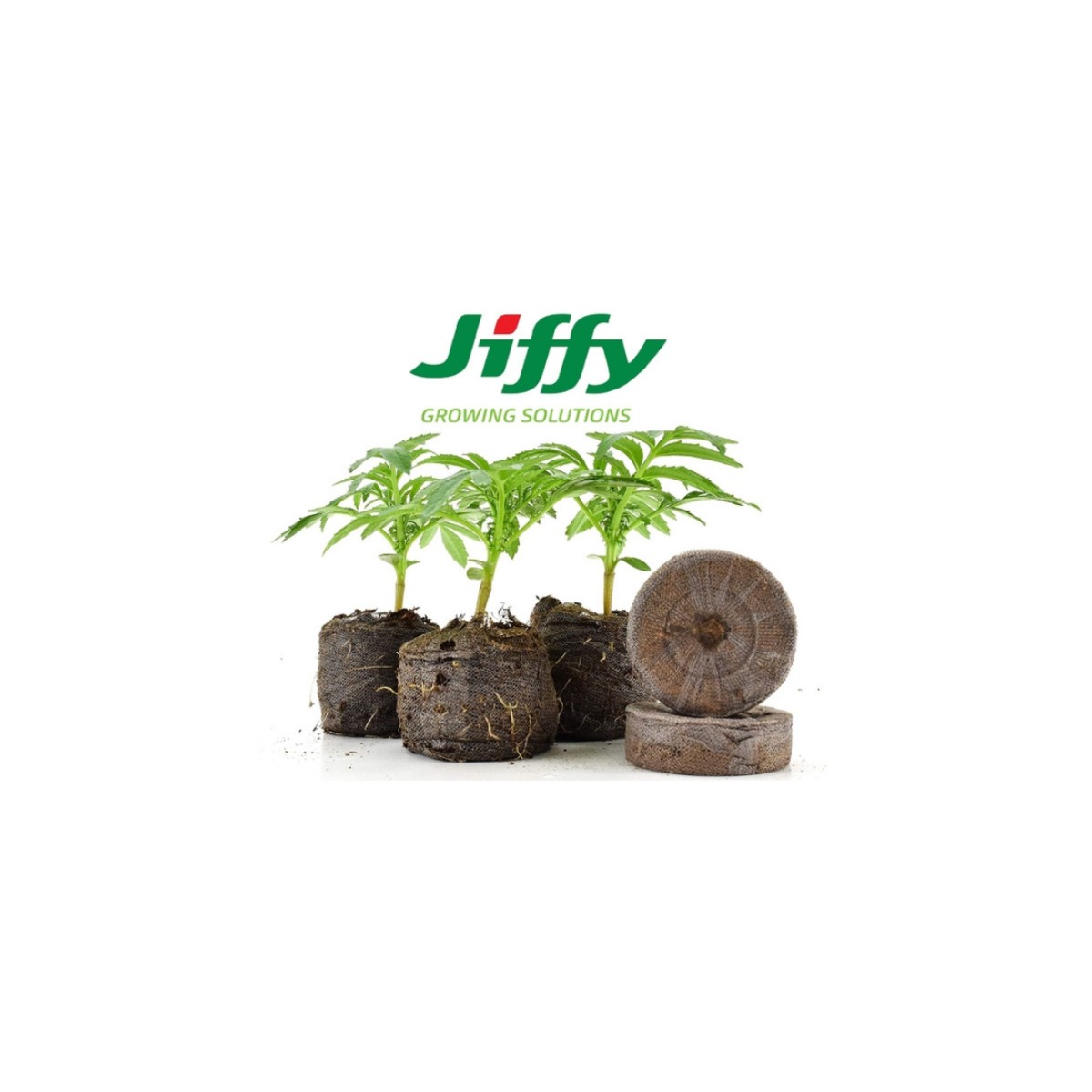 Pastillas de Germinación Jiffy Germinador J7 42x43 mm 1000U Caja Cerrada Pastillas de Germinación Jiffy Germinador J7 42x43 mm 1000U Caja Cerrada
